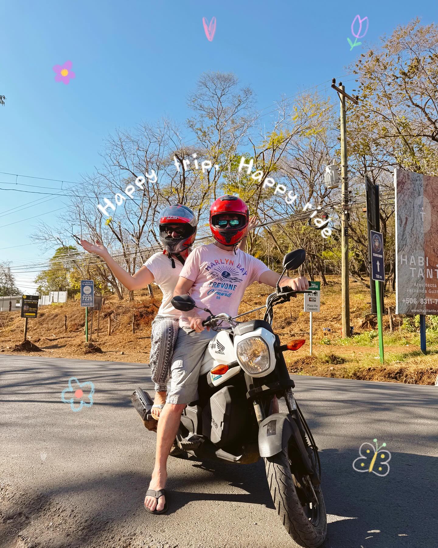 Honda lineup at dealership