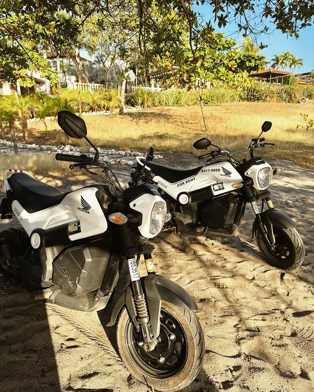 Honda Navi detail shot