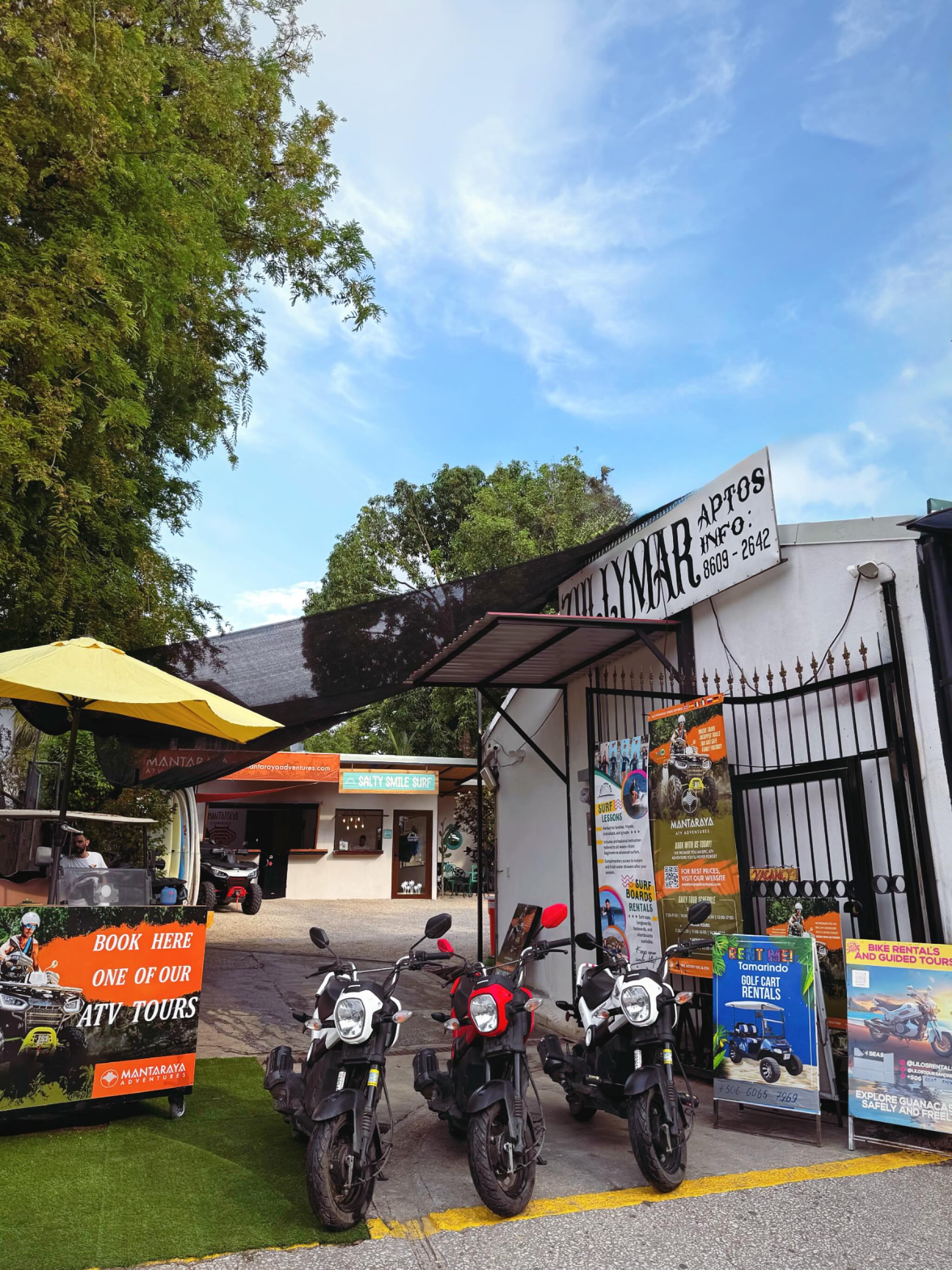 Honda Navi scenic view