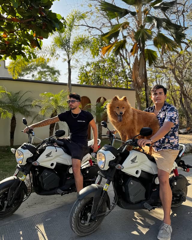 Honda Navi in Tamarindo area